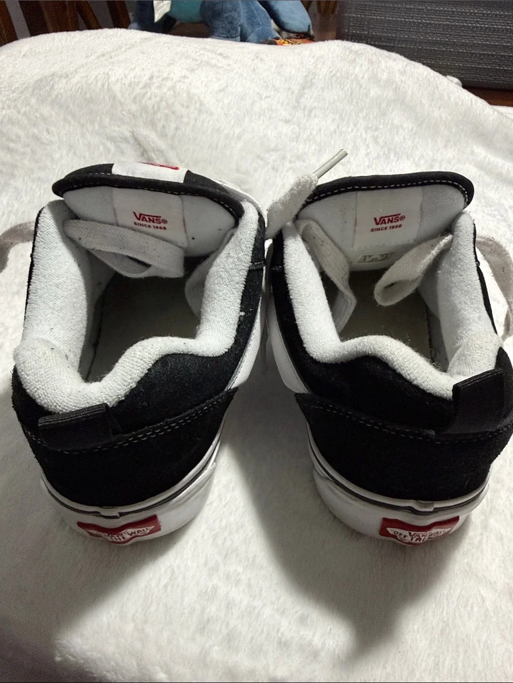 Vans Black and White Low-Top Skate Sneakers